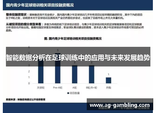 智能数据分析在足球训练中的应用与未来发展趋势